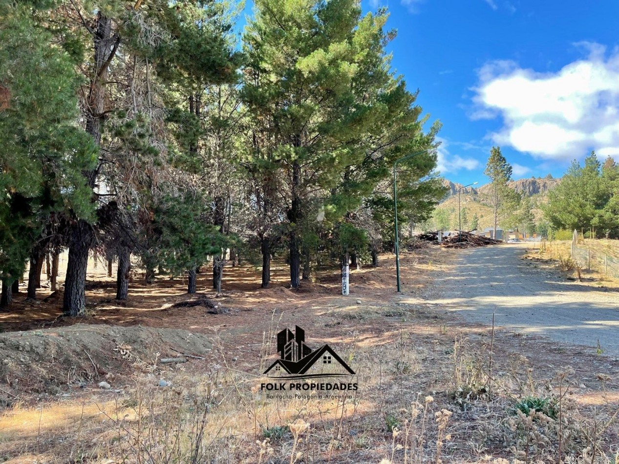 LOTE EN VENTA EN DINA HUAPI 286m2 plano.