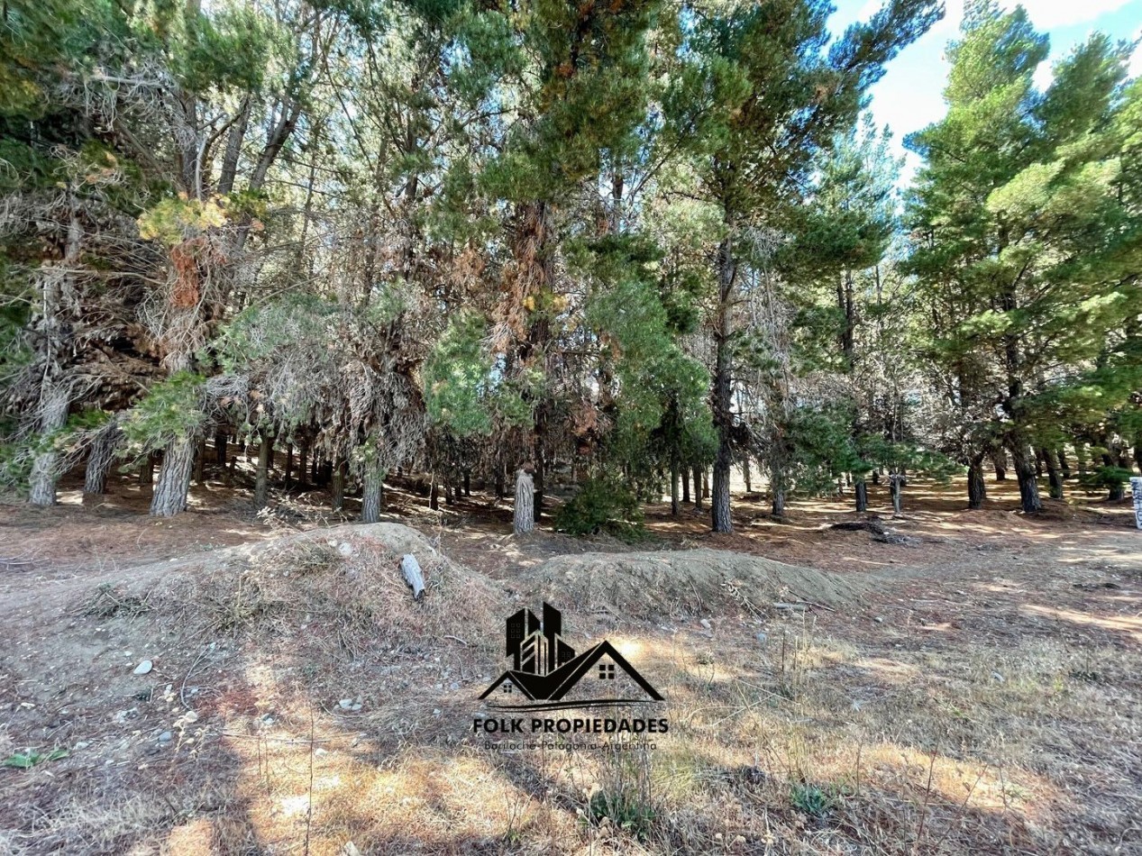 LOTE EN VENTA EN DINA HUAPI 314m2 plano.
