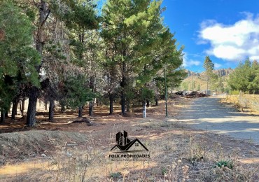 LOTE EN VENTA EN DINA HUAPI 286m2 plano.