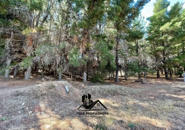 LOTE EN VENTA EN DINA HUAPI 252m2 plano.